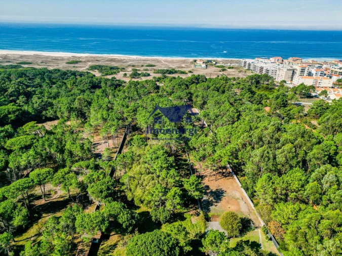 Prédio para Venda em Arvore Foto 44