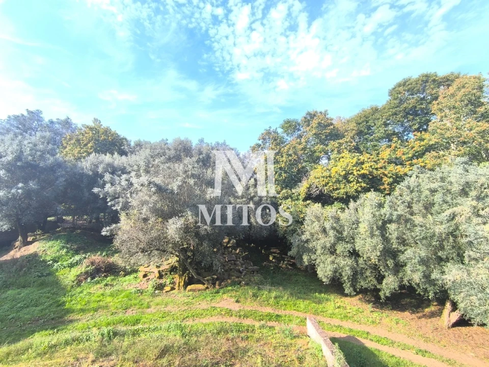 Moradia T4 para Venda em São Pedro de Arcos Foto 14