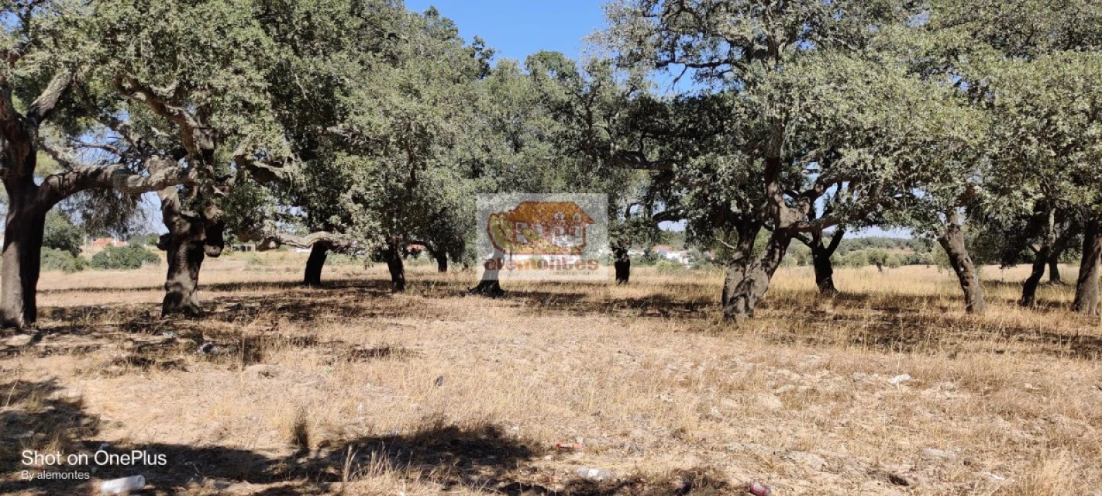 Terreno para Venda em Grândola e Santa Margarida da Serra Foto 4