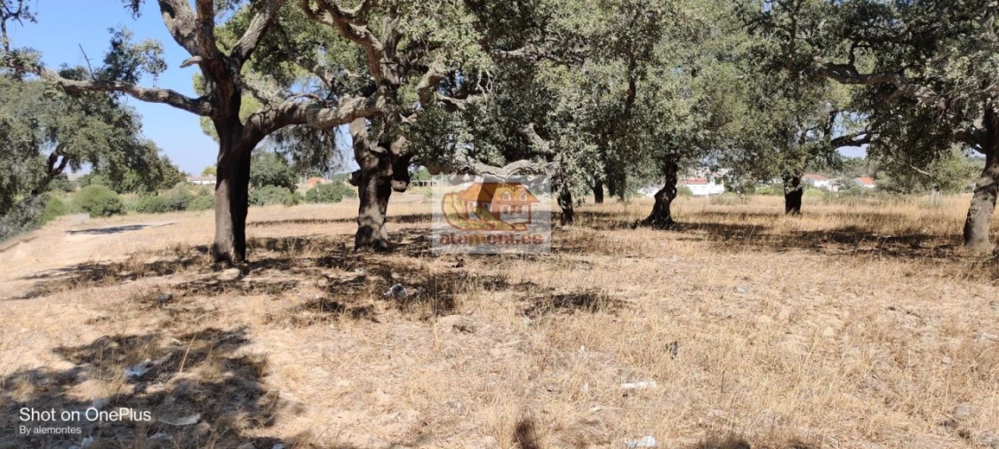 Terreno para Venda em Grândola e Santa Margarida da Serra Foto 5