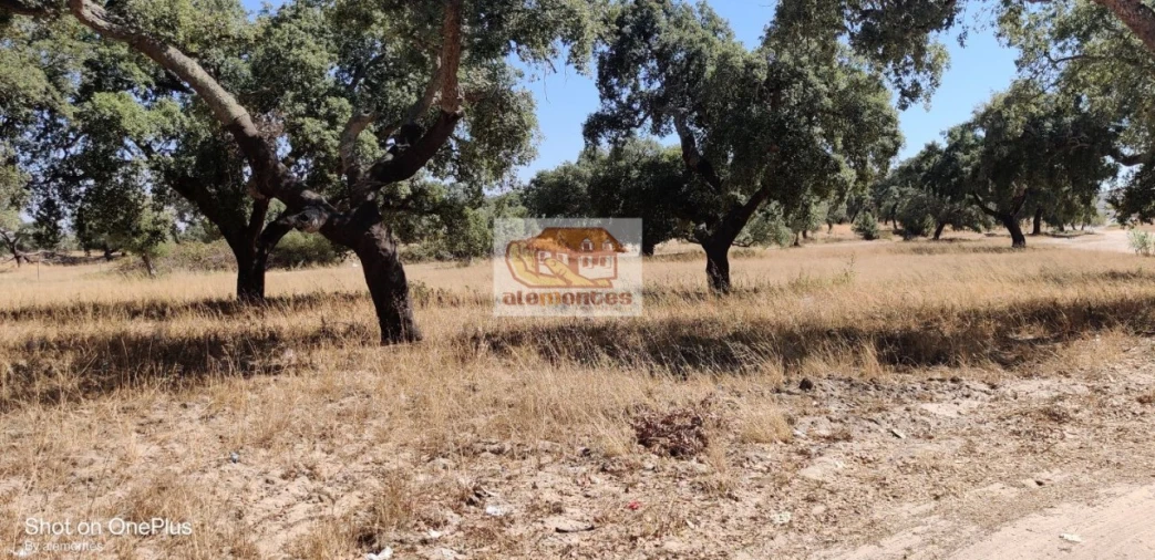 Terreno para Venda em Grândola e Santa Margarida da Serra Foto 1