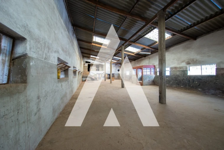 Moradia T5 para Venda em Amoreira da Gândara, Paredes do Bairro e Ancas Foto 28