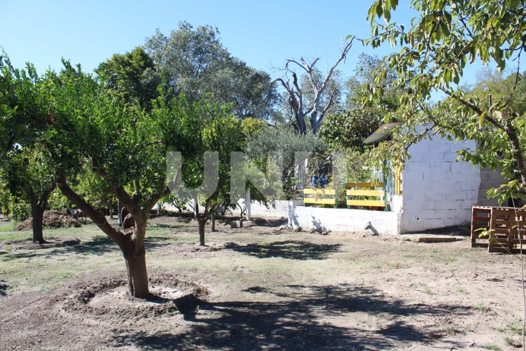 Quinta T2 para Venda em Reguengo e São Julião Foto 15