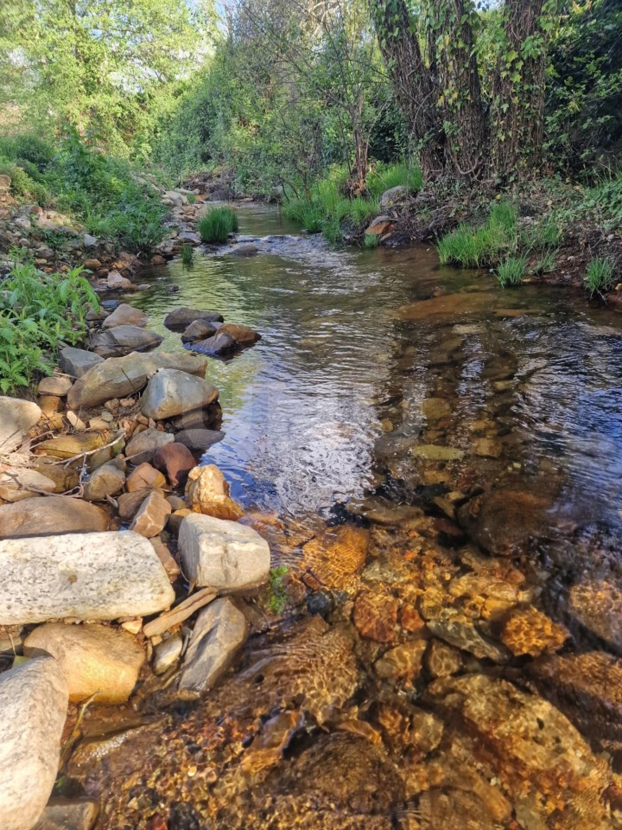 Quinta T2 para Venda em Reguengo e São Julião Foto 33