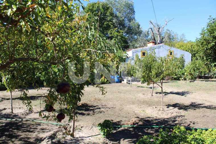 Quinta T2 para Venda em Reguengo e São Julião Foto 14