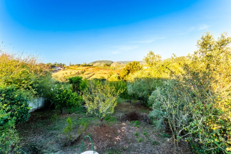 Moradia T5 para Venda em Peral Foto 77