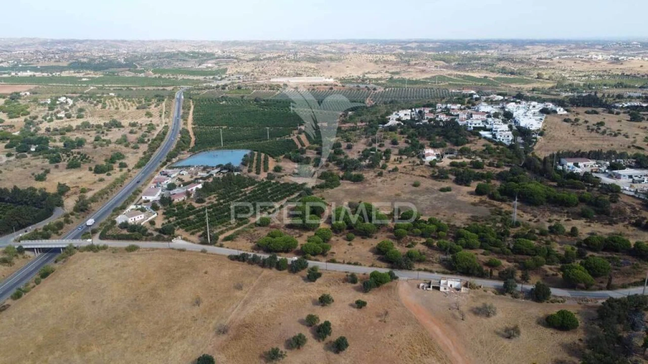 Terreno para Venda em Altura Foto 8