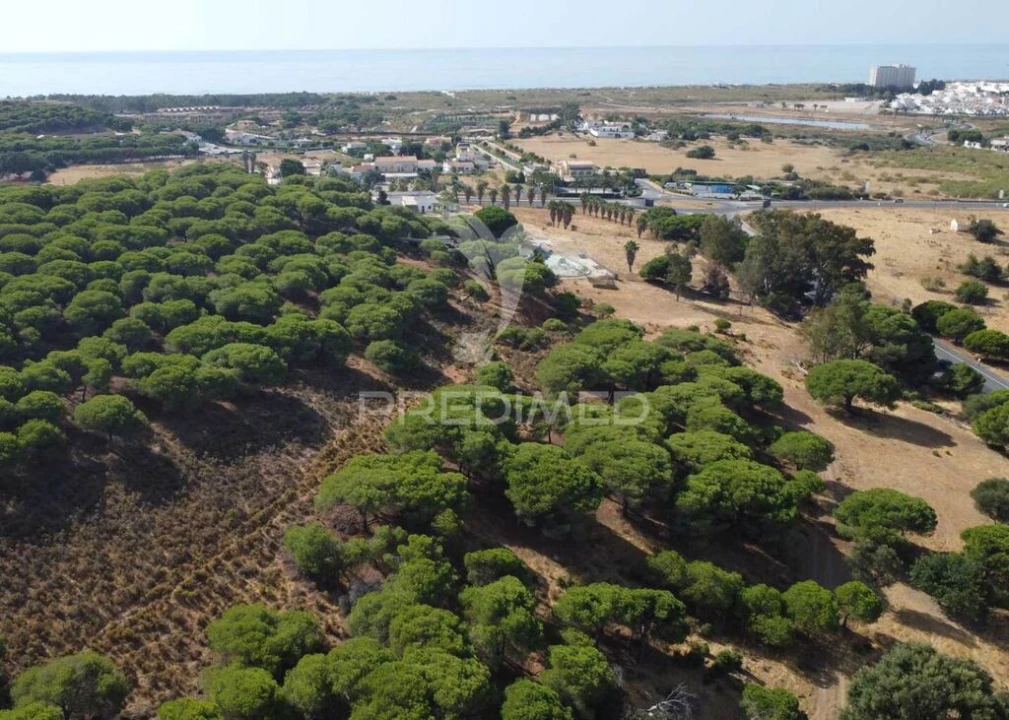 Terreno para Venda em Altura Foto 16