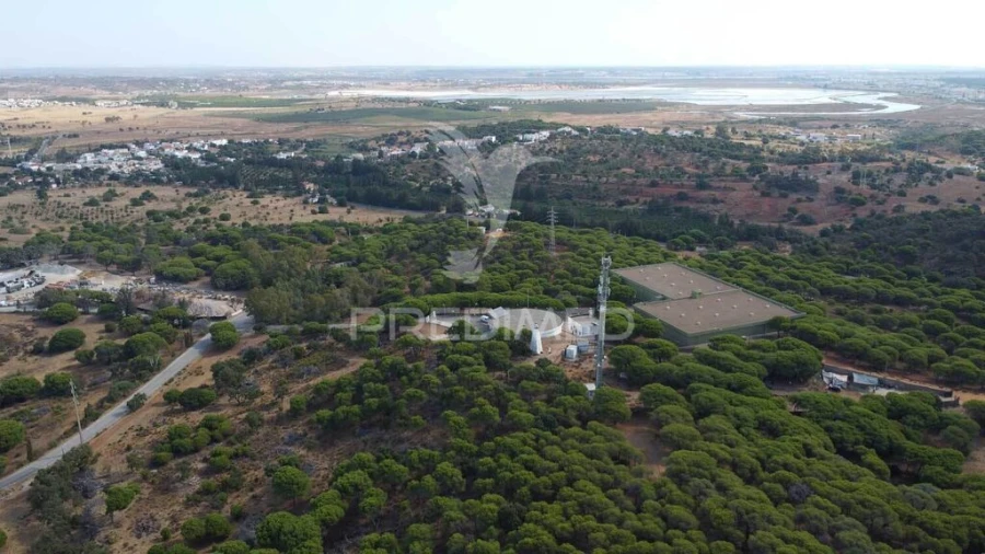 Terreno para Venda em Altura Foto 6