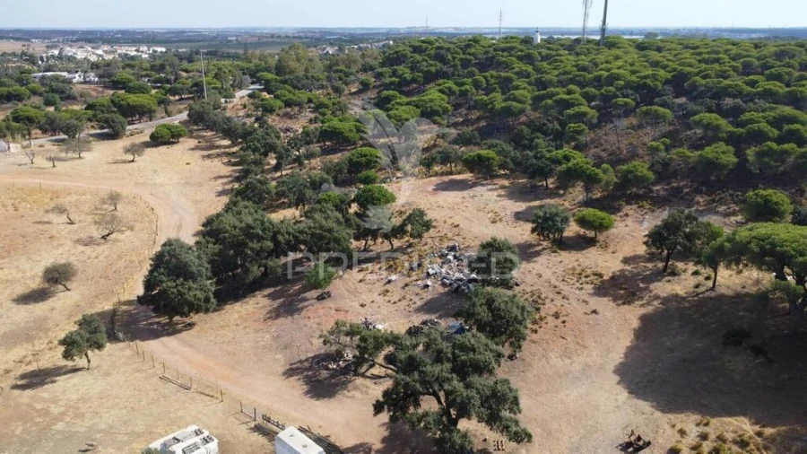 Terreno para Venda em Altura Foto 14