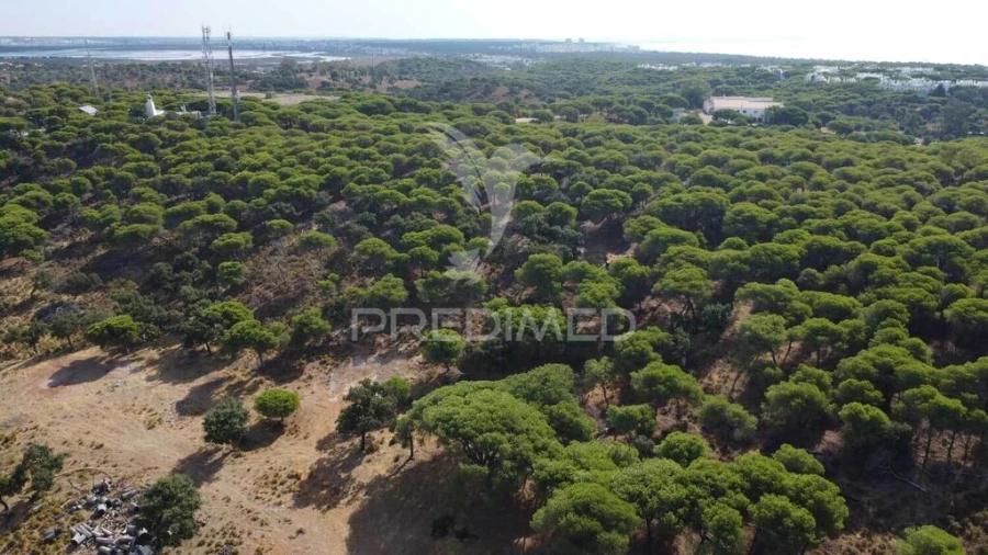 Terreno para Venda em Altura Foto 15