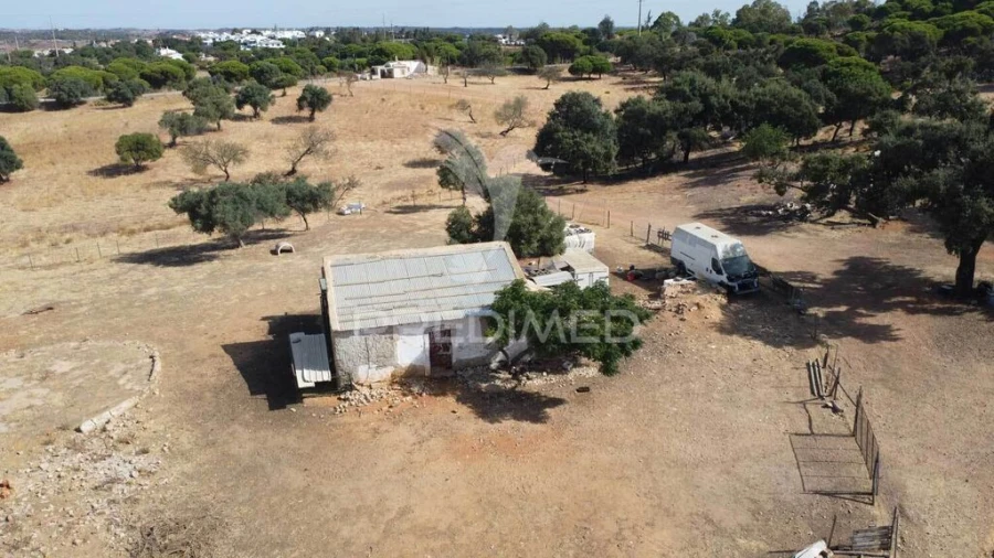 Terreno para Venda em Altura Foto 13