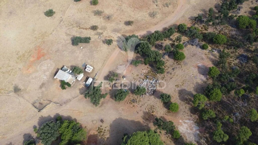 Terreno para Venda em Altura Foto 10