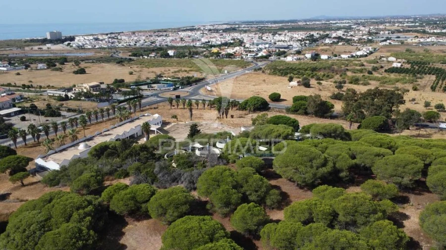 Terreno para Venda em Altura Foto 17