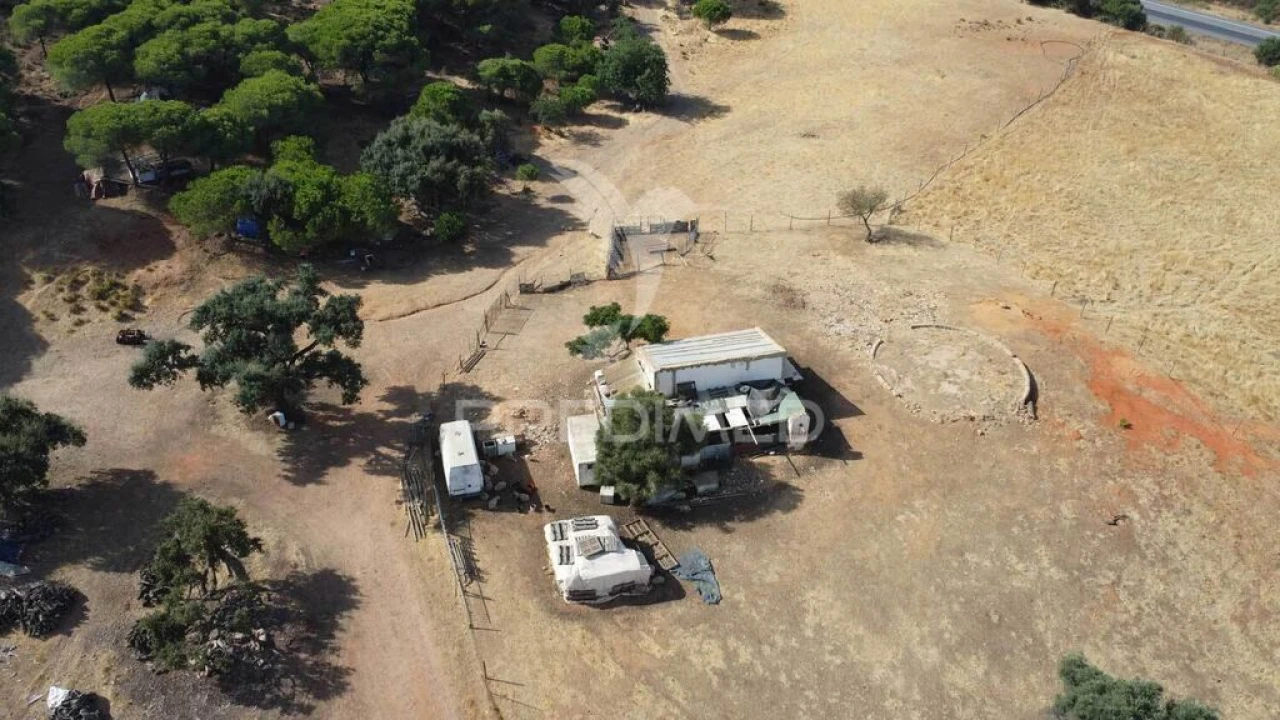 Terreno para Venda em Altura Foto 12