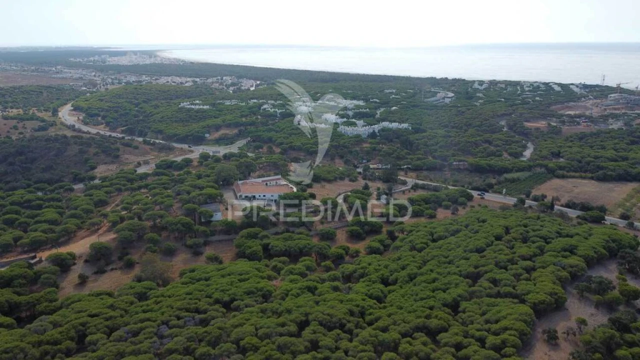 Terreno para Venda em Altura Foto 5