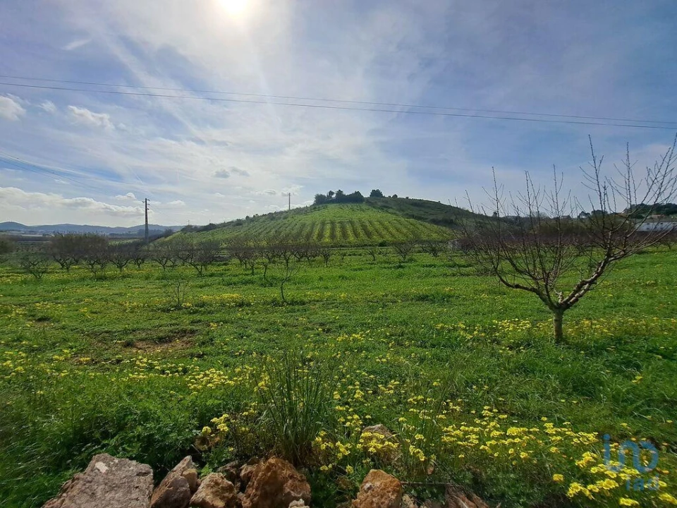 Terreno para Venda em Azueira e Sobral da Abelheira Foto 5