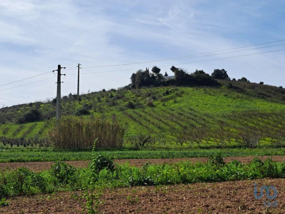 Terreno para Venda em Azueira e Sobral da Abelheira Foto 4