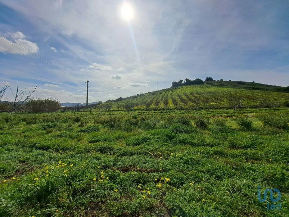 Terreno para Venda em Azueira e Sobral da Abelheira Foto 13