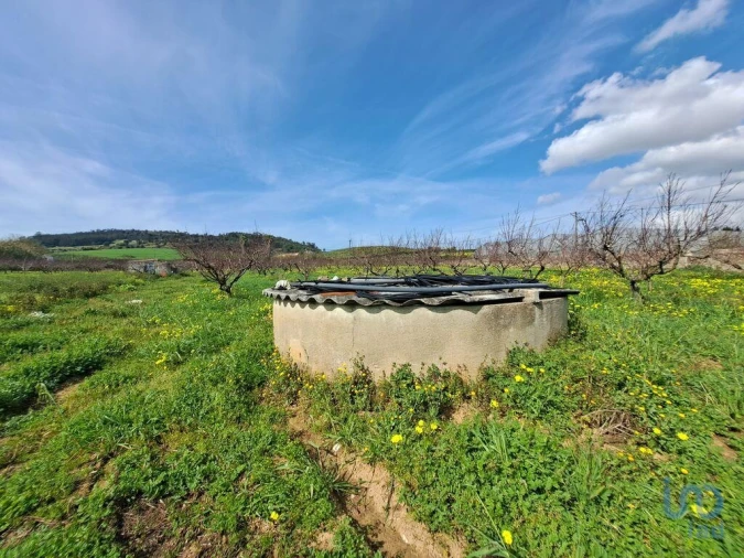 Terreno para Venda em Azueira e Sobral da Abelheira Foto 14