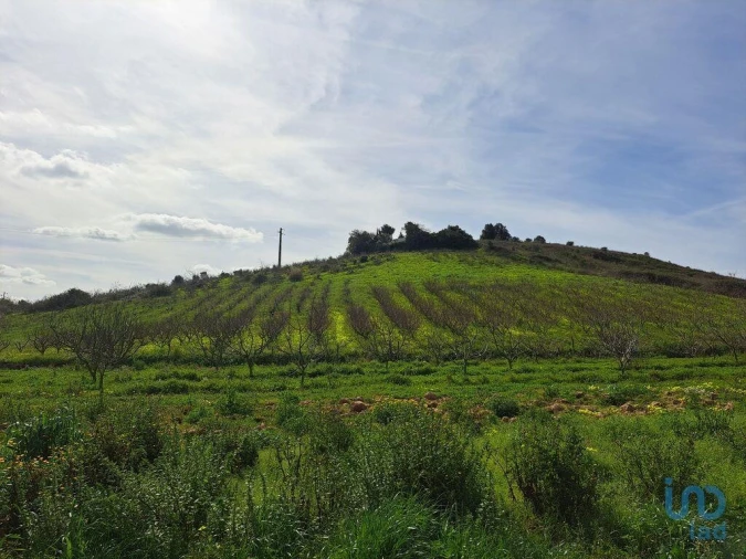 Terreno para Venda em Azueira e Sobral da Abelheira Foto 3