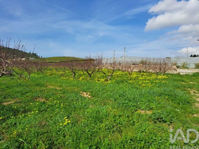 Terreno para Venda em Azueira e Sobral da Abelheira Foto 15