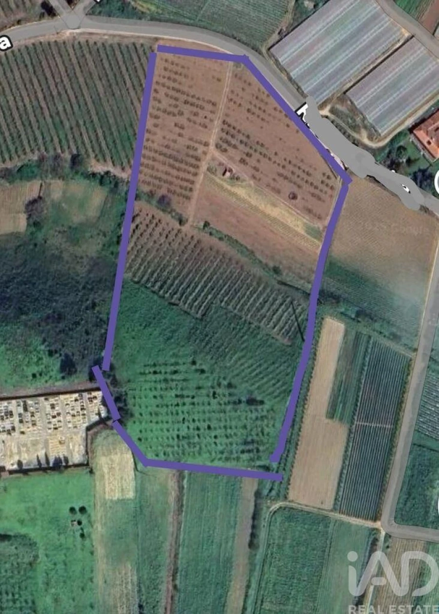 Terreno para Venda em Azueira e Sobral da Abelheira Foto 23