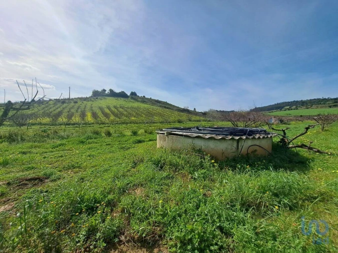 Terreno para Venda em Azueira e Sobral da Abelheira Foto 11