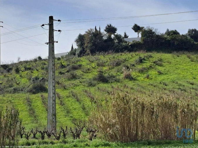 Terreno para Venda em Azueira e Sobral da Abelheira Foto 6