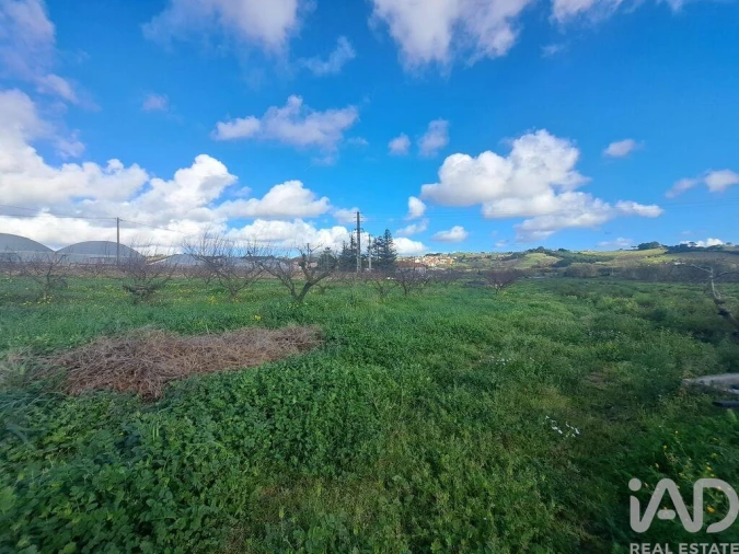 Terreno para Venda em Azueira e Sobral da Abelheira Foto 20