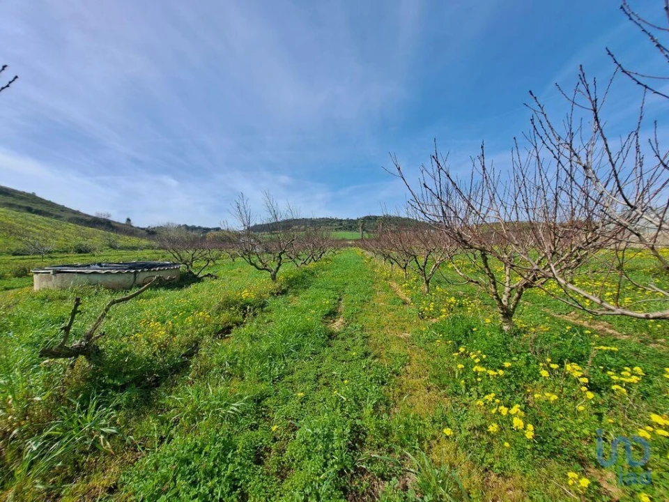 Terreno para Venda em Azueira e Sobral da Abelheira Foto 10