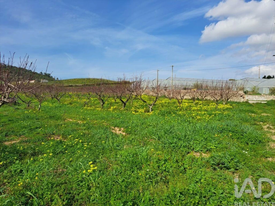 Terreno para Venda em Azueira e Sobral da Abelheira Foto 15