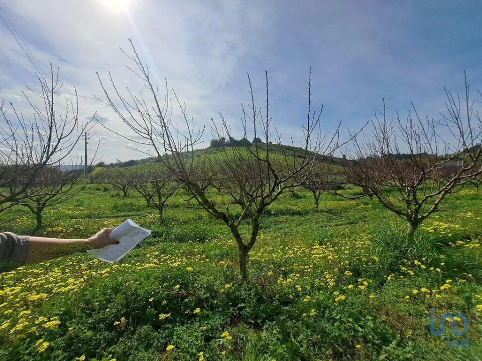 Terreno para Venda em Azueira e Sobral da Abelheira Foto 9