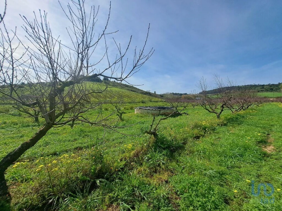 Terreno para Venda em Azueira e Sobral da Abelheira Foto 12