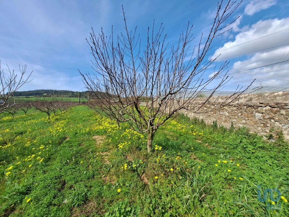 Terreno para Venda em Azueira e Sobral da Abelheira Foto 7