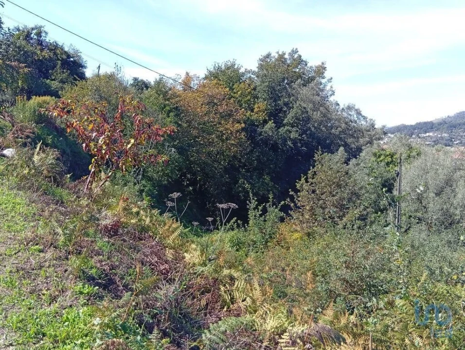 Terreno para Venda em Pico de Regalados, Gondiães e Mós Foto 4