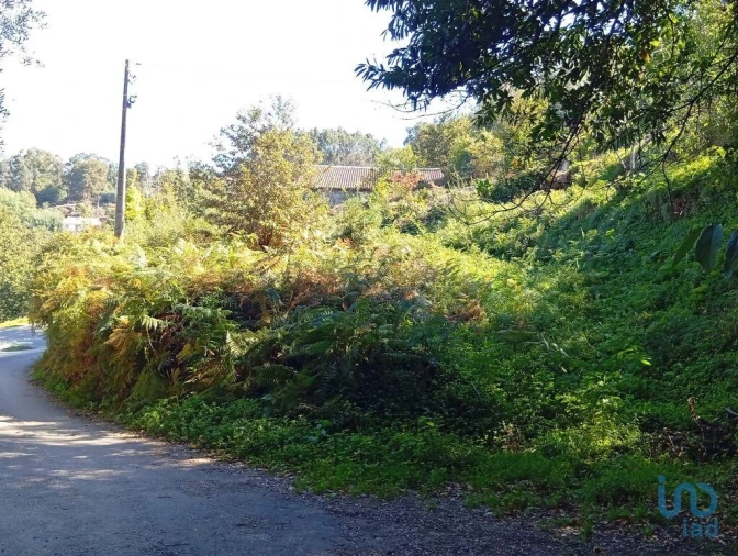 Terreno para Venda em Pico de Regalados, Gondiães e Mós Foto 13