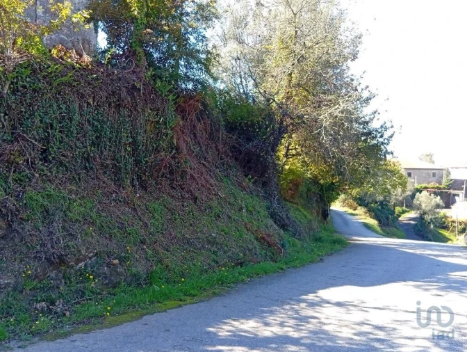 Terreno para Venda em Pico de Regalados, Gondiães e Mós Foto 11