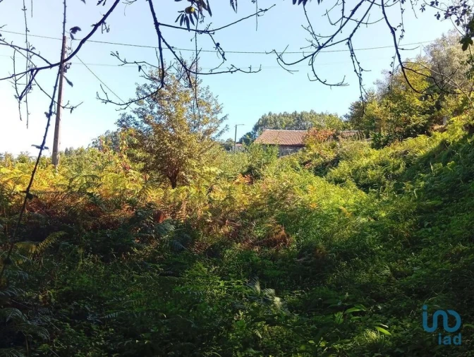 Terreno para Venda em Pico de Regalados, Gondiães e Mós Foto 14