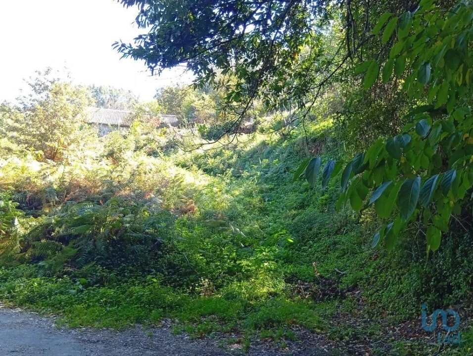 Terreno para Venda em Pico de Regalados, Gondiães e Mós Foto 7