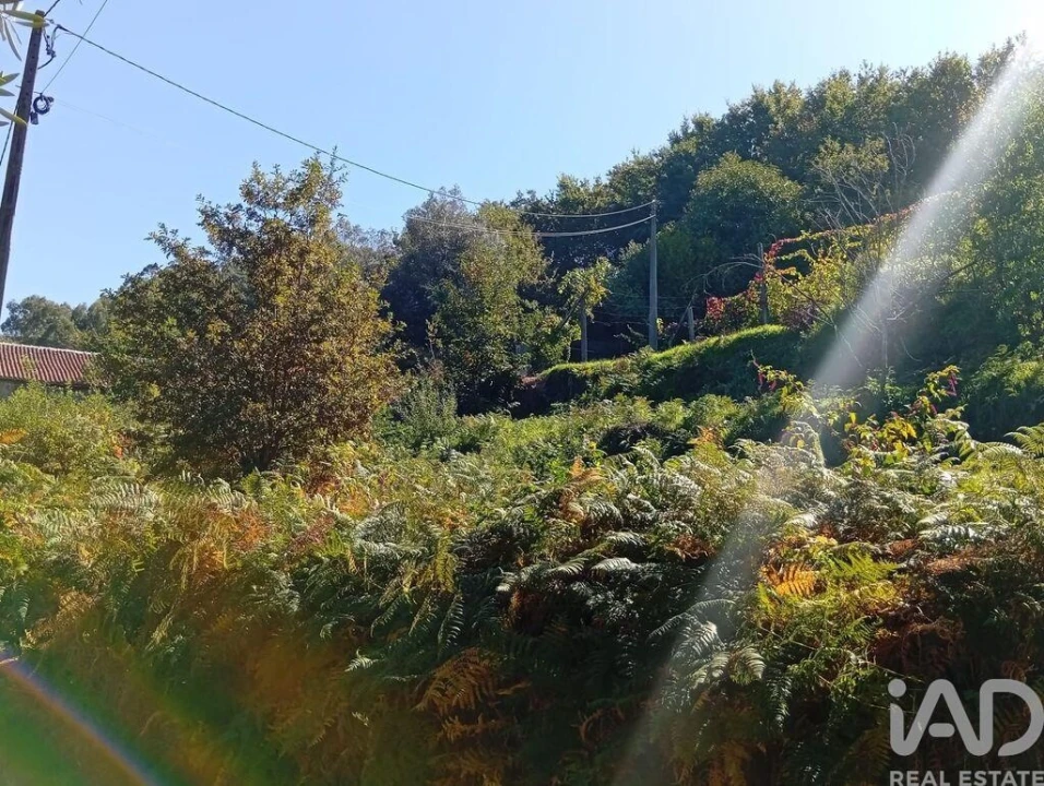 Terreno para Venda em Pico de Regalados, Gondiães e Mós Foto 17
