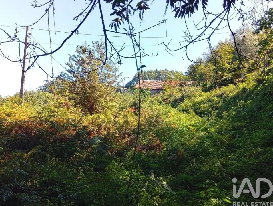 Terreno para Venda em Pico de Regalados, Gondiães e Mós Foto 16