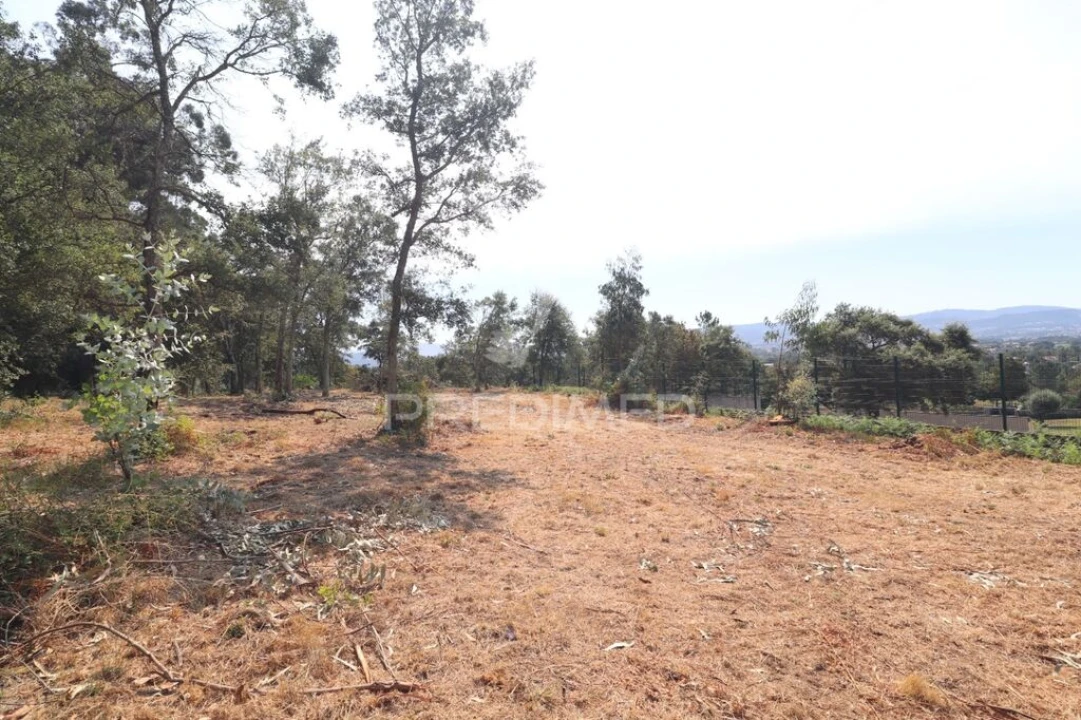 Terreno para Venda em Turiz Foto 16