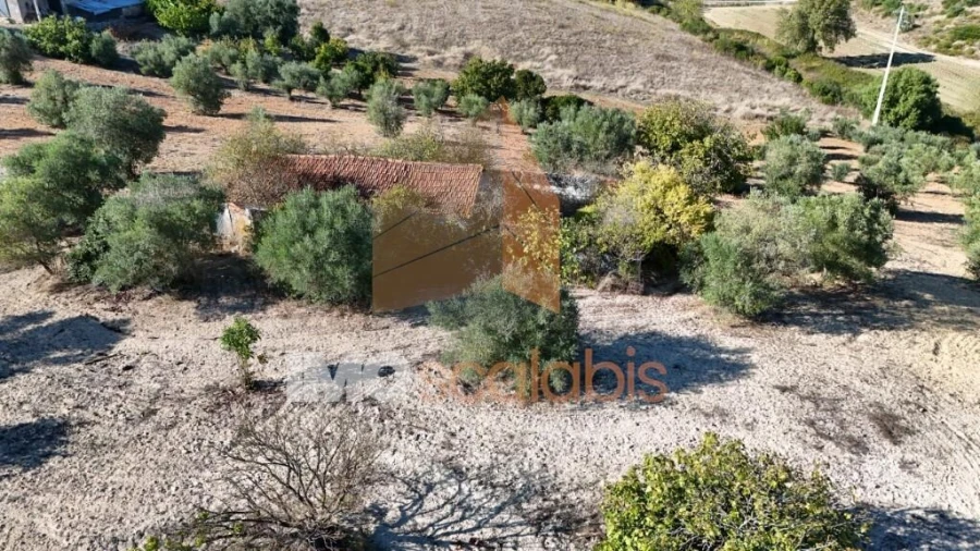 Moradia T2 para Venda em Abitureiras Foto 12