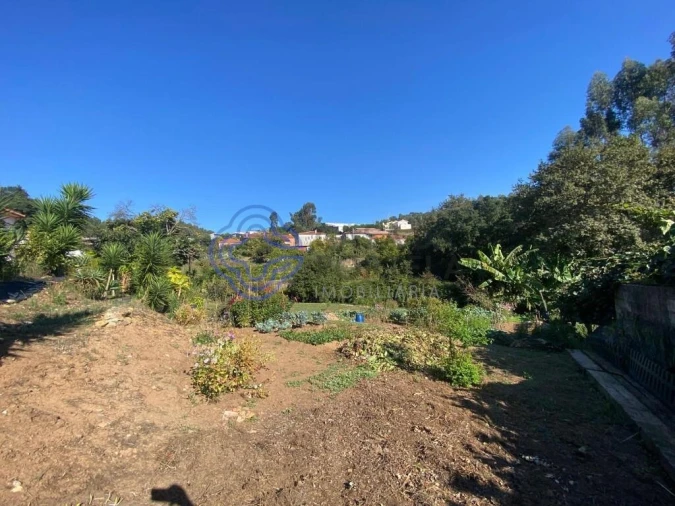 Terreno para Venda em Escapães Foto 12