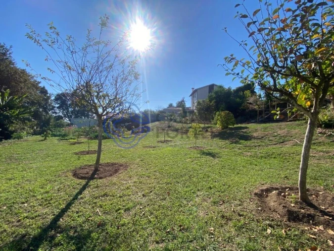 Terreno para Venda em Escapães Foto 2