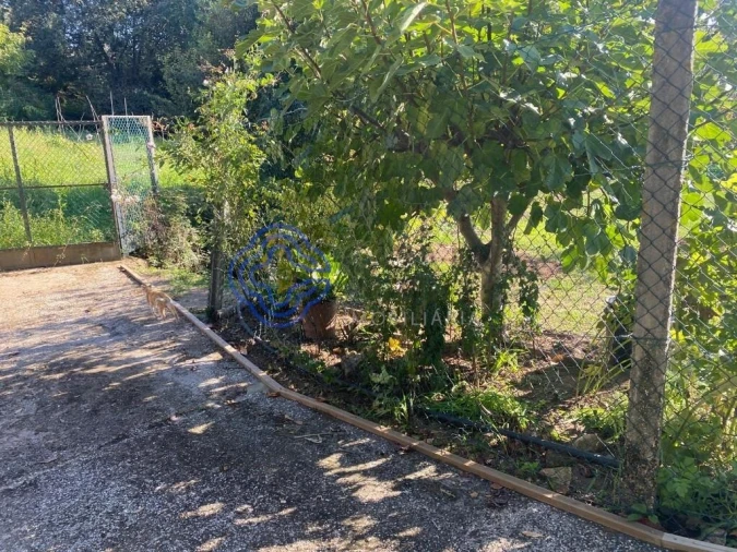 Terreno para Venda em Escapães Foto 22