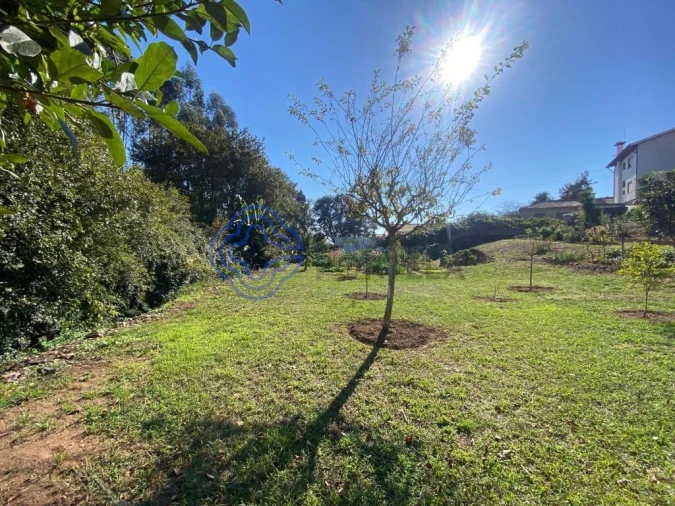 Terreno para Venda em Escapães Foto 5