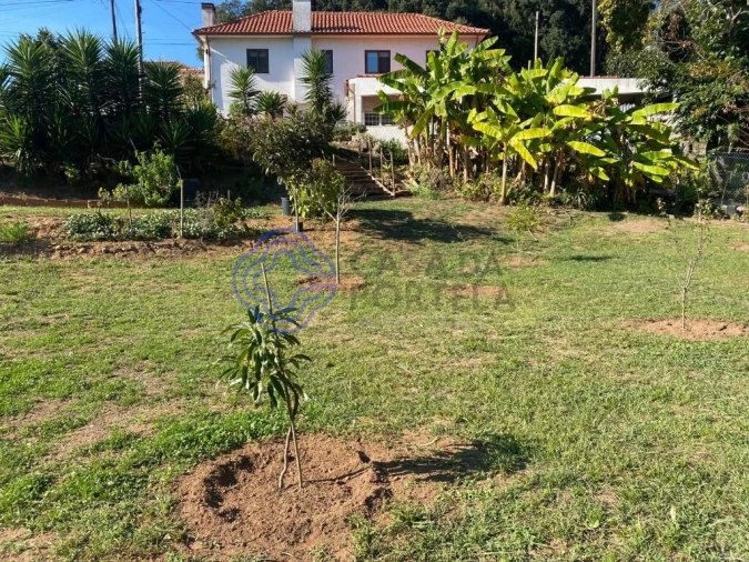 Terreno para Venda em Escapães Foto 6