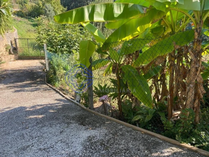 Terreno para Venda em Escapães Foto 19